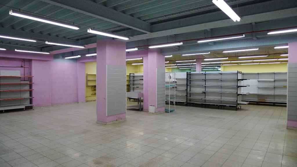 Czy na działce znajduje sie Nie roślinność? Czy działka jest zabudowana?