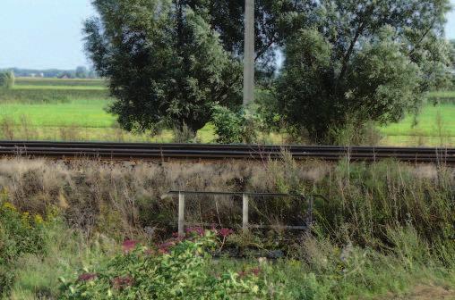 36 E. Skrzy ski Pokazane wady odwodnienia i zastoiska wody są zauważalne przez każdego.