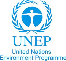 United Nations Environment Programme, UNEP) w celu wzmocnienia efektywnego zarządzania zasobami środowiska naturalnego.