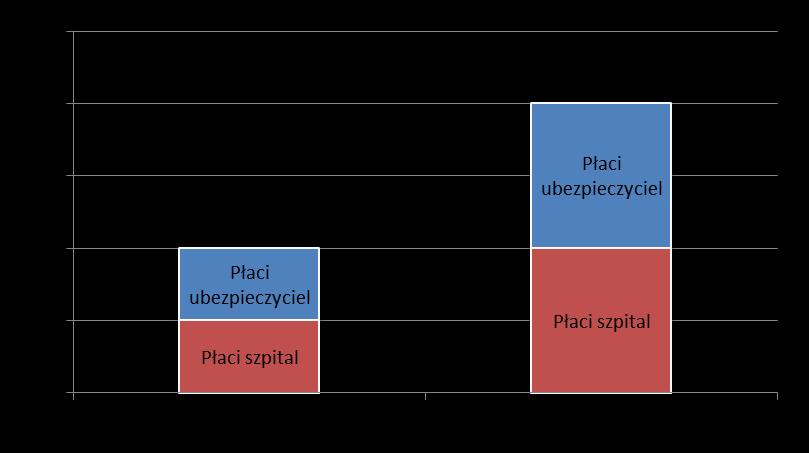 Udział własny PRZYKŁAD NR 2 Założenia: Suma ubezpieczenia: 300 000 zł Udział własny: 50% sumy