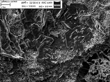 clusters of portlandite crystals, c) portlandite platelets in cement