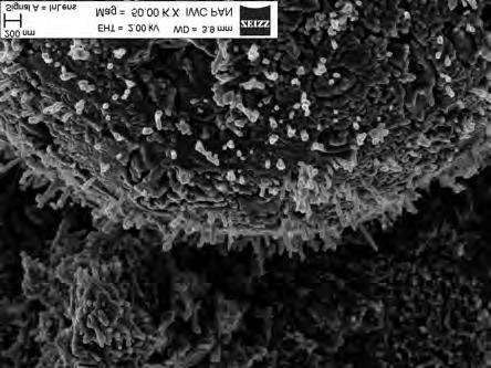 composed primarily of C-S-H, c) particle of fly ash in the cement/ fly ash matrix, d) close-up of the