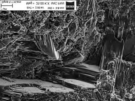 fine-grained matrix composted primarily of C-S-H, f) C-S-H with crumpled foil morphology Rys. 2.