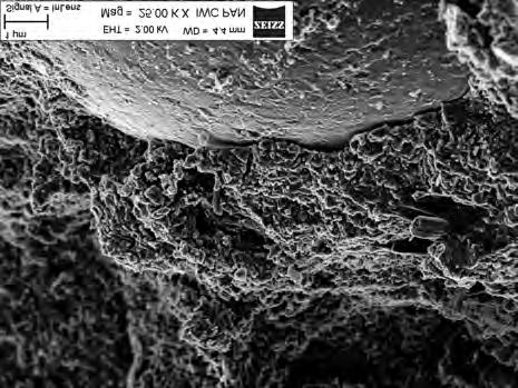 surrounded by cement matrix, c) cement matrix and sand grain interface, d) close-up