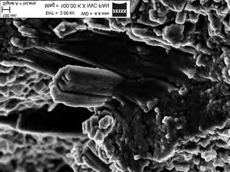 crystals precipitated inside a pore, f) fine grained C-S-H Rys. 3.