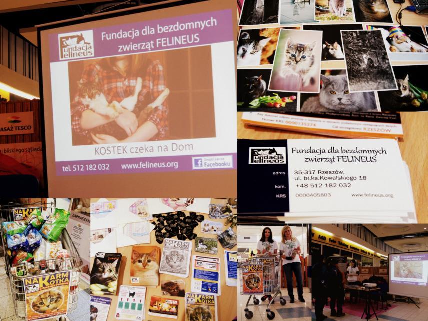 3. LUTY 2015: Pasaż TESCO: Poznaj bliskiego sąsiada 28. 02.2015 Fundacja Felineus uczestniczyła w akcji: Pasaż TESCO: Poznaj bliskiego sąsiada.