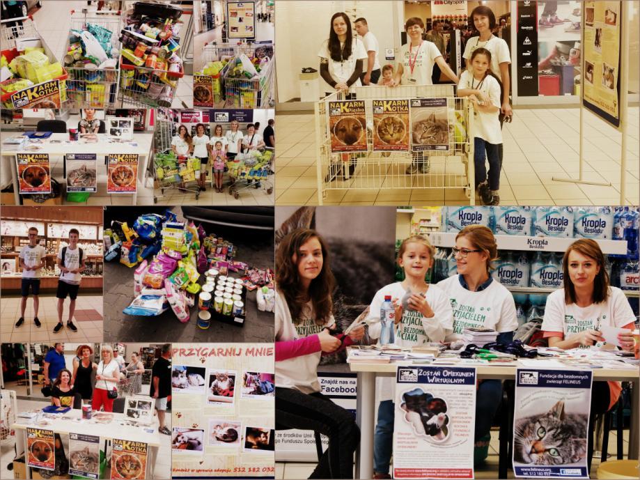 7. Fundacja Felineus przeprowadziła zbiórki karmy i akcesoriów dla podopiecznych w sklepach hipermarketach: - w hipermarkecie AUCHAN-12-14.06.