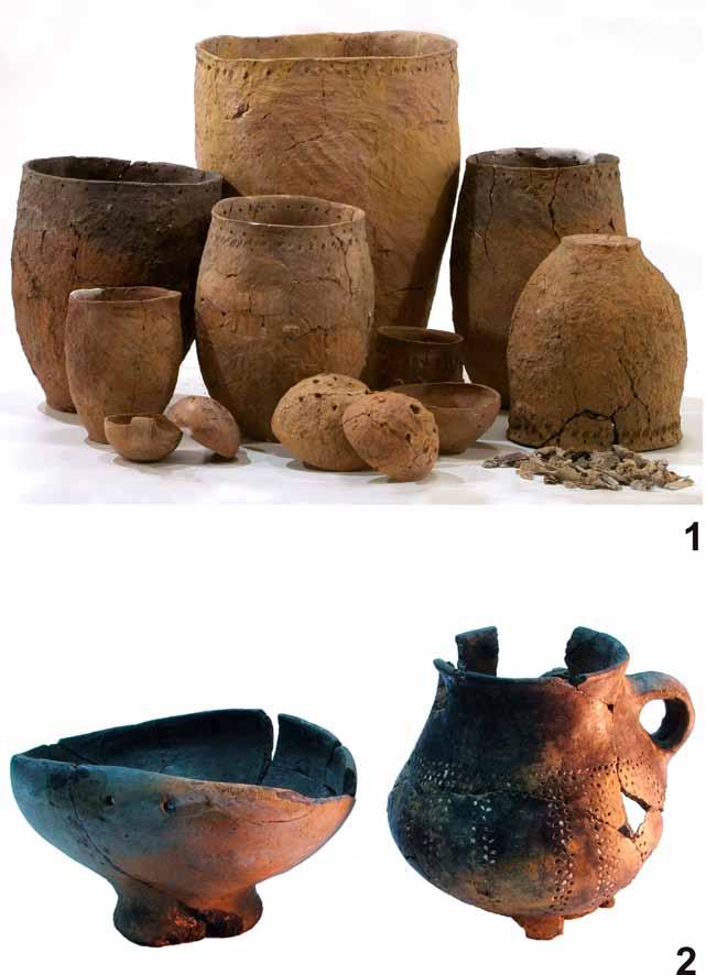 Fig. 7. Selection of pottery from the Iron Age: 1 vessels and burned human bones from the cist burial in Bliskowice, dist. Kraśnik. Photo by P. Maciuk.