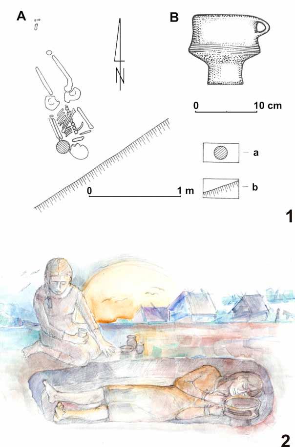 Fig. 1. Strzyżów, dist.hrubieszów, site 2: 1 a plan view of the skeletal burial (A), equipped with a vessel (B). Legend: vessel (a), destroyed area (b). After A.