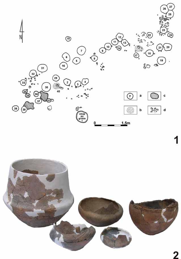Fig. 3. Wojciechów, dist. Włodawa: 1 a site plan of the cremation cemetery. Legend: urned burial (a), pit burial (b), earth darkening with a small amount of bones (c), rocks (d). After S.