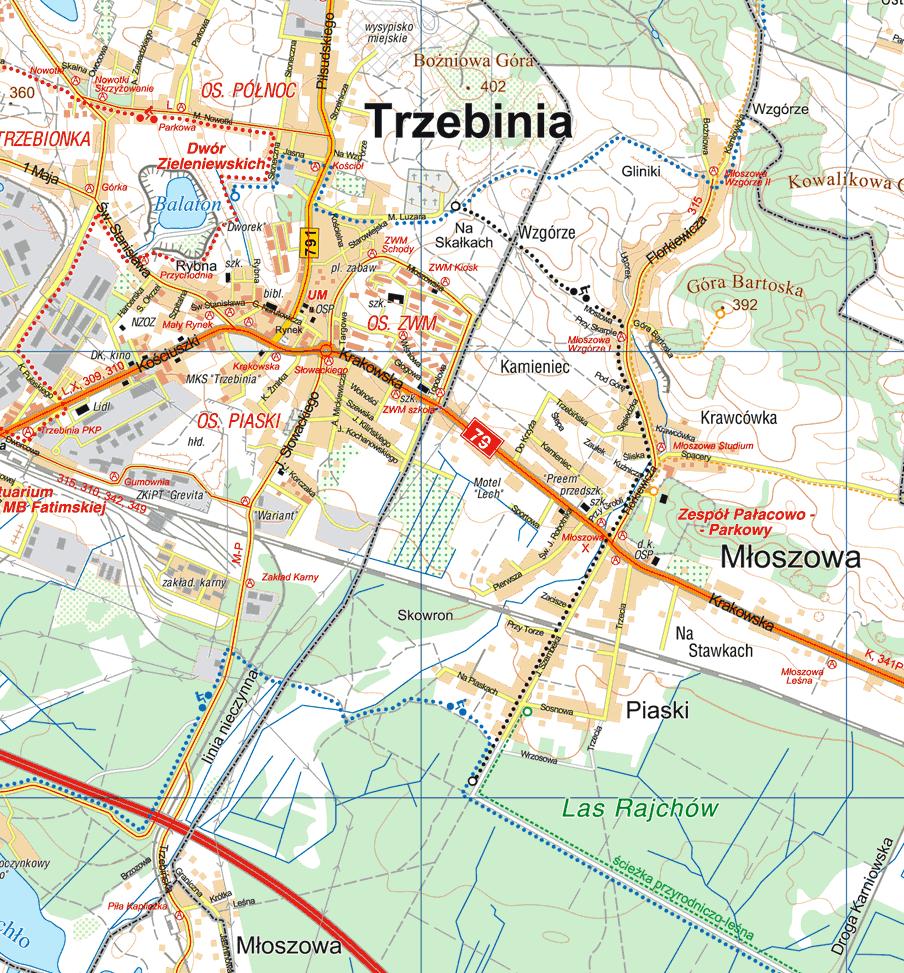 TRZEBINIA