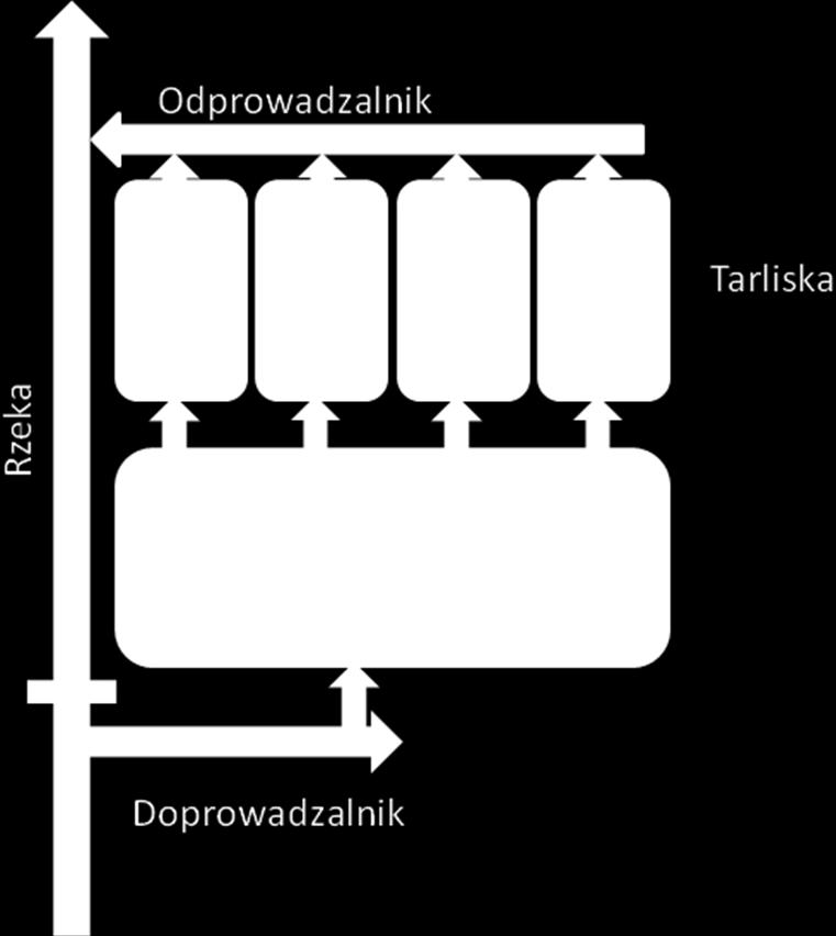 Pakiet II wymóg 13 Jaka powierzchnia