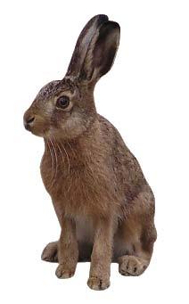 Zadanie 7. Obejrzyj kilka zaprezentowanych na stronie: http://www.gruesse.de/ostern/ostern1.asp kartek świątecznych i zapisz do zeszytu co najmniej 5 różnie sformułowanych życzeń świątecznych.