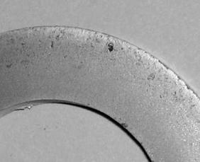 75 100 µm a Fig. 4.