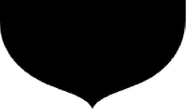 2017-2020