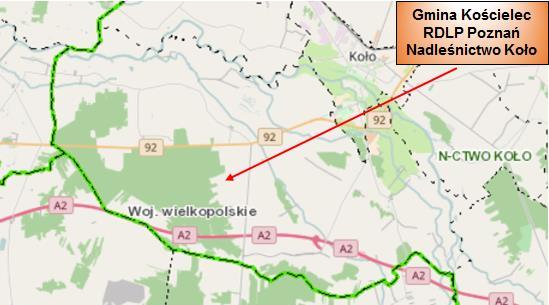 5.6. Ochrona przyrody i krajobrazu SZATA ROŚLINNA Powierzchnia lasów i gruntów leśnych na terenie Gminy Kościelec w 2017 r. wg danych z Urzędu Gminy Kościelec wynosiła 2 570 ha.