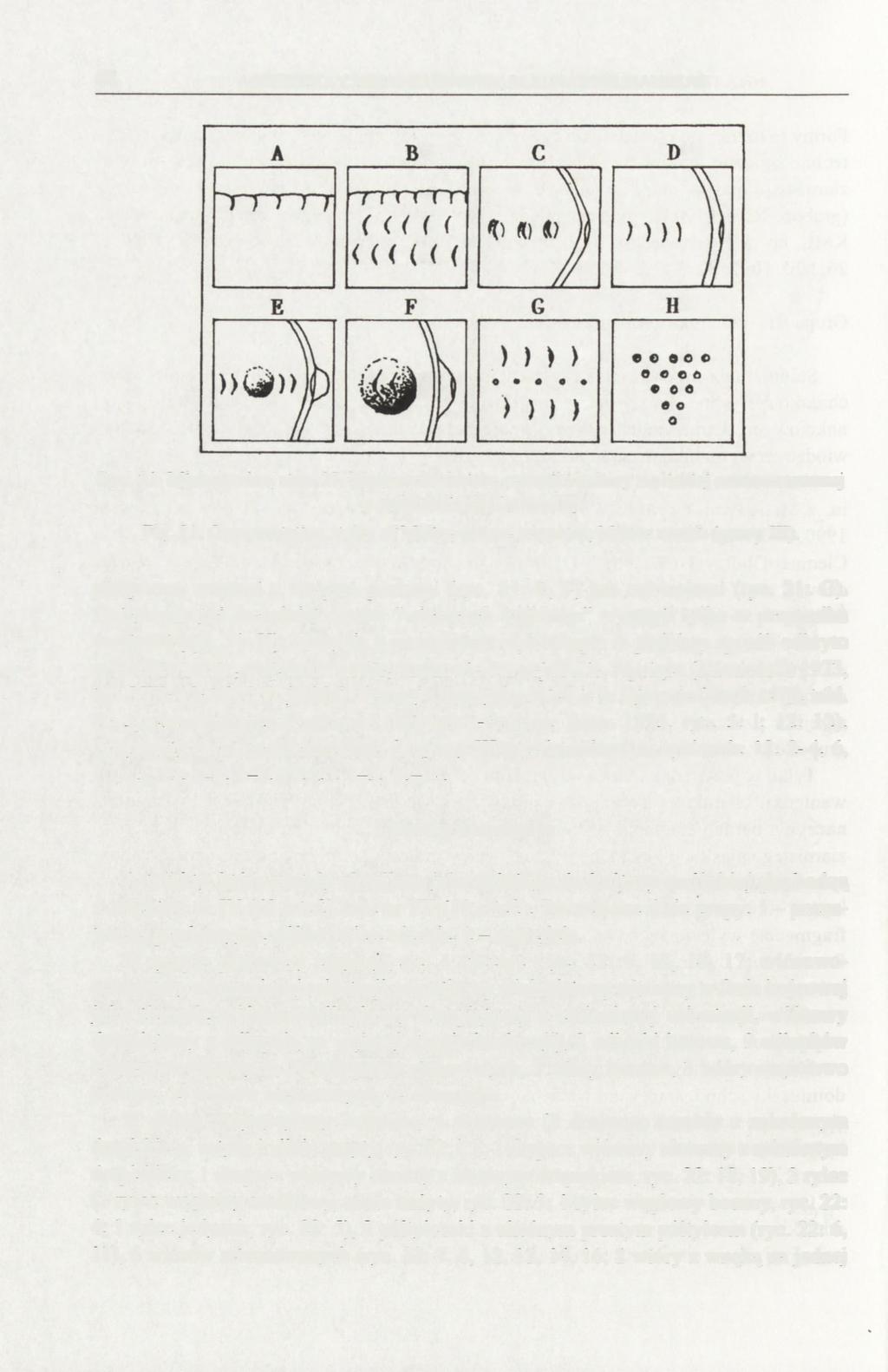 68 AGNIESZKA CZEKAJ-ZASTAWNY, SARUNAS MILISAUSKAS Ryc. 21. Michałowice, stan. 27. Motywy zdobnicze ceramiki kultury malickiej ornamentowanej w stylu malickim (grupa III). Fig. 21. Ornamentation styles of Malice culture ceramics.