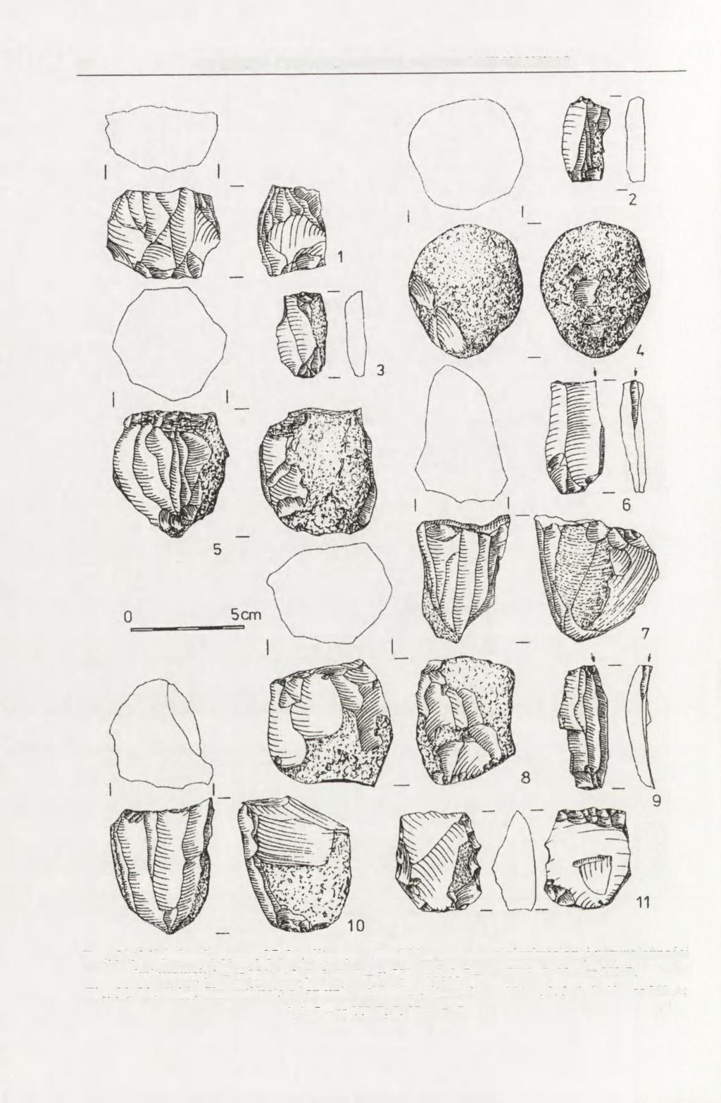 84 AGNIESZKA CZEKAJ-ZASTAWNY, SARUNAS MILISAUSKAS Ryc. 32. Michałowice, stan. 27. Neolityczne zabytki krzemienne o nieokreślonej przynależności kulturowej: 1 - ar 3X4 A; 2. 3, 6.