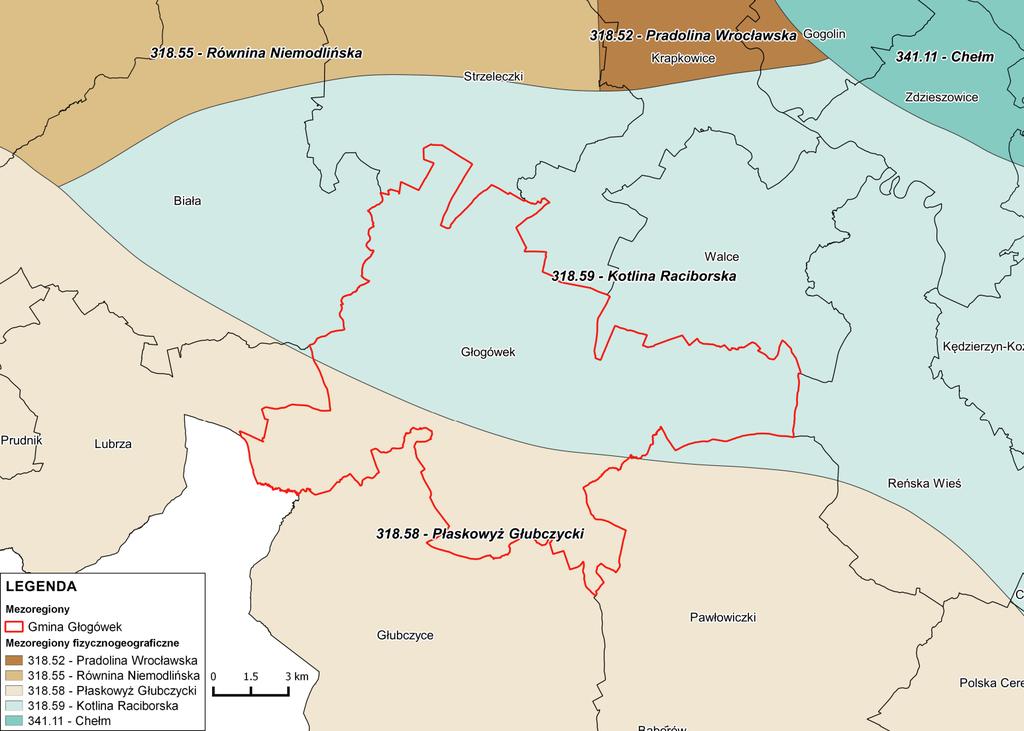 Rysunek 3. Położenie Gminy Głogówek względem mezoregionów fizyczno geograficznych Źródło: opracowanie własne 4.