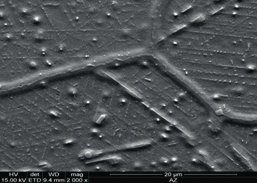 twardść 212 HV10; e, f) 10 000 h