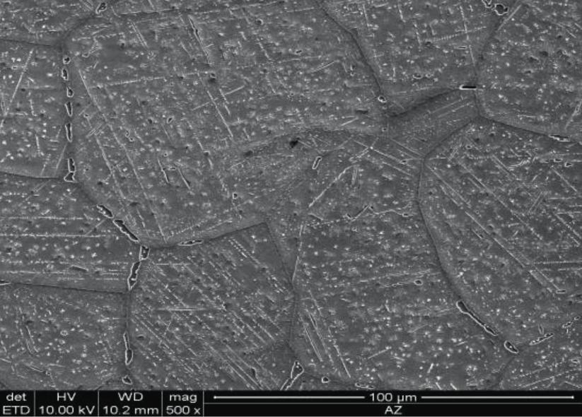 after ageing at 700 C a, 1,000 h