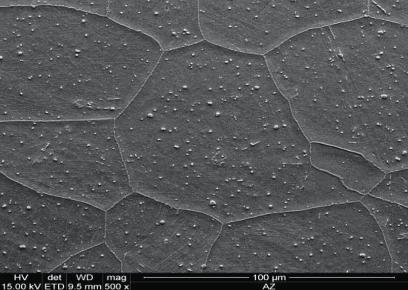 hardness f 223 HV10; e, f) 10,000 h hardness f 223 HV10 dla temperatury starzenia 750C wzrst średniej