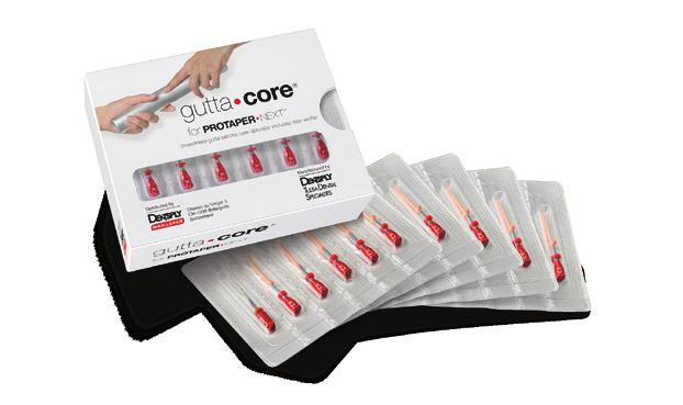 X5 OBTURATORY BLISTER gutta core Blister dla PTN X2 REF A 1802B 004 25 00 gutta core Blister dla PTN X3 REF A 1802B 004 30 00 gutta core