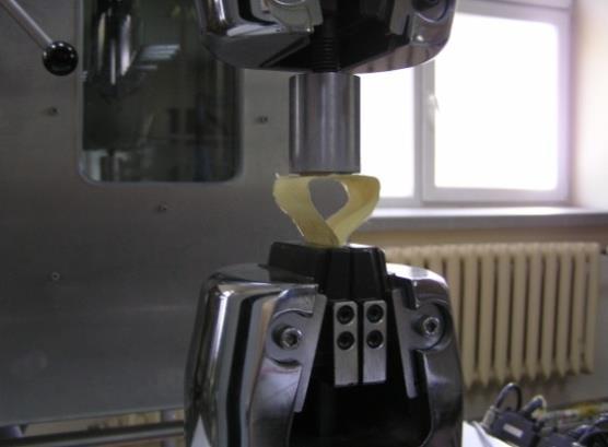 Próbki z wklejoną ceramiką i przyklejonym paskiem tkaniny Próbki mocowano w uchwytach maszyny wytrzymałościowej