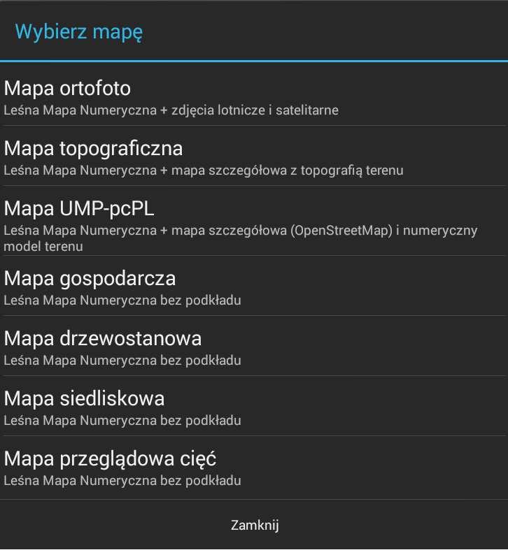 Mapa ortofoto