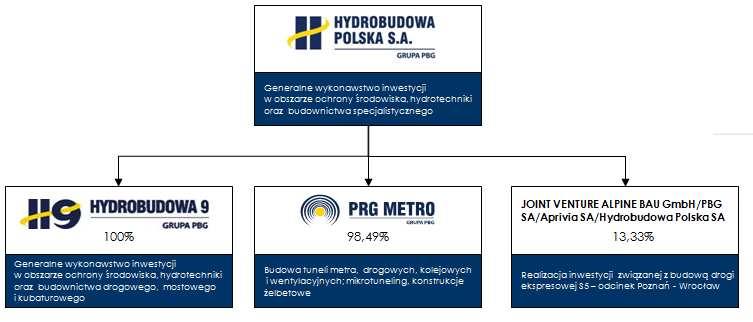 Na dzień 30 czerwca 2011 roku udział podmiotu dominującego w kapitale oraz w ogólnej liczbie głosów w spółkach zależnych i współzależnych objętych konsolidacją przedstawiał się następująco: Podmiot
