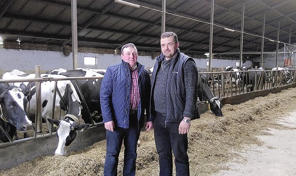 W tej chwili są krowami, które dają najwięcej mleka w stadzie. Sukcesywnie wymieniam stare krowy na córki reproduktorów z Wielkopolski.