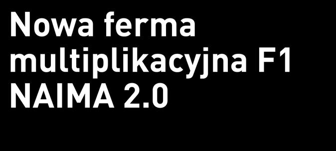 Nowy etap postępu: F1 NAIMA 2.