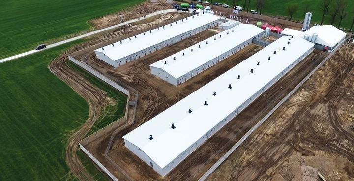 inwestycje Choice Genetics FERMA KOŁACZKOWICE Nowa ferma multiplikacyjna F1 NAIMA 2.0 10 F1 NAIMA 2.0 to nowa generacja jednej z najpopularniejszych loch na świecie.