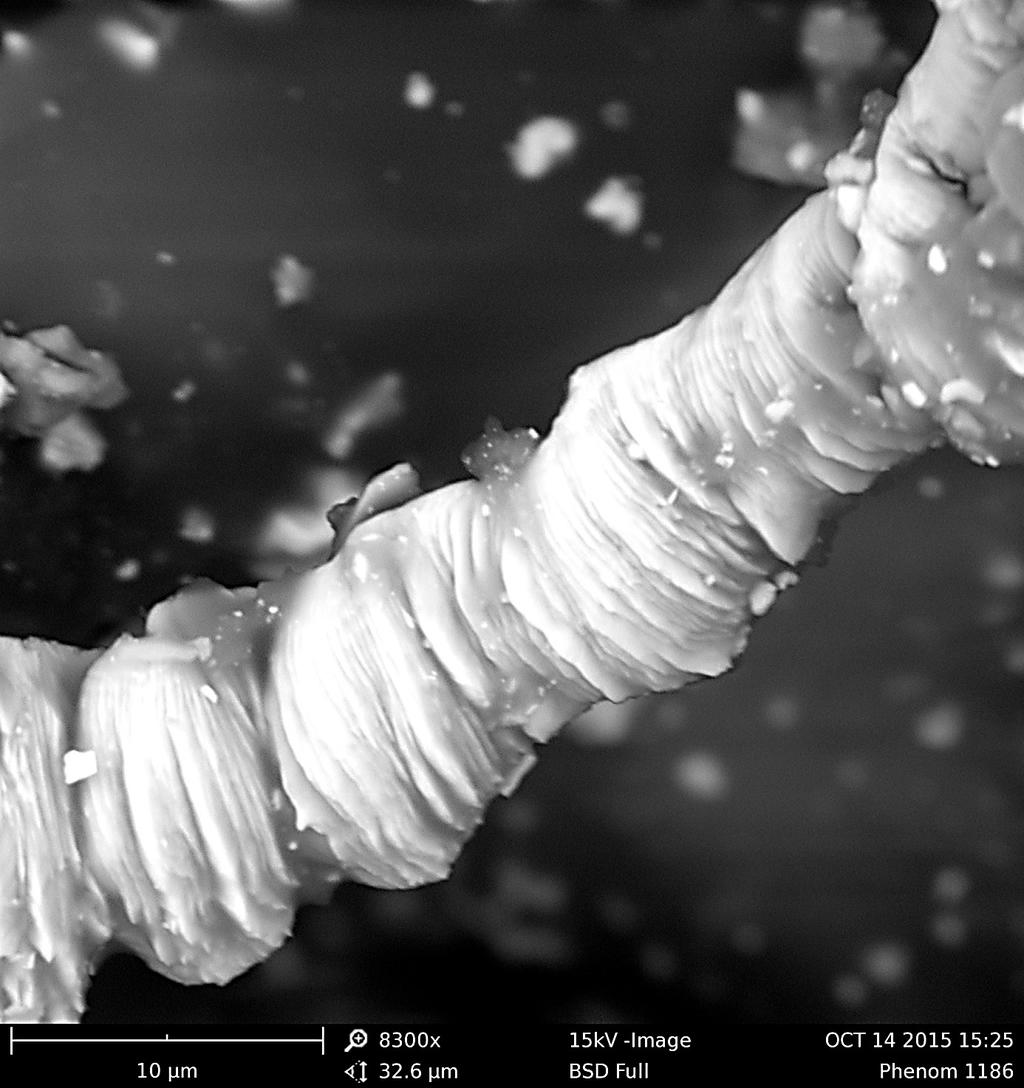 Rys. 7. Obrazy SEM mikrowióra powstałego w procesie szlifowania stopu tytanu Grade 5 4.