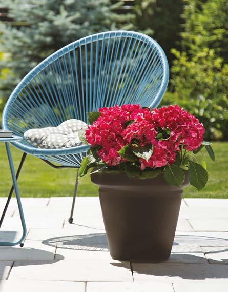 SAUCER 60 61 62 420 48 49» 76 31 74 82 83 odporna