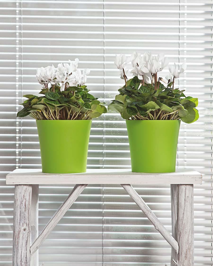 FIOŁEK Blumentopf / Pot de fleurs / Кашпо 384 100 9 10 01 03 39 4 80 38 110 102 10 386 12 116 10 387 14 134 10 388 16 13 10 389 190 176 01 03 39 4 80 81 PODSTAWKA SAUCER 38 386 387 388 389 602 603