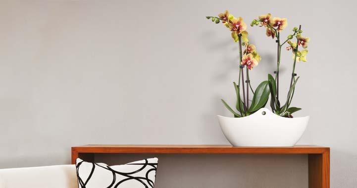 WENA Blumentopf / Pot de fleurs / Кашпо 634 30 x 10 x 160 10 0 74