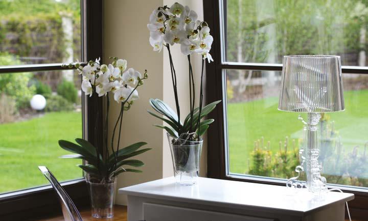 cyrkulacji powietrza elevated bottom for hydration and aeration of orchid roots w kolorach pełnych i transparentnych in solid and transparent