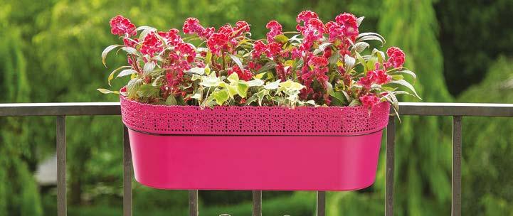 BALKONOWA BALCONY TROUGH Balcon Blumenkasten / Jardiniè / Балонный ящнк для цветов 700 00 x 19 x 170 702 00 x 19 x 170