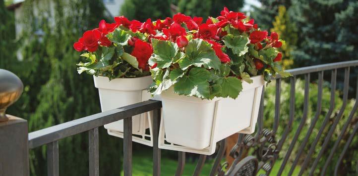 держатель для балконного ящика 638 20 642 1x2 31 74 82 83 31 74 82 83 LOBELIA