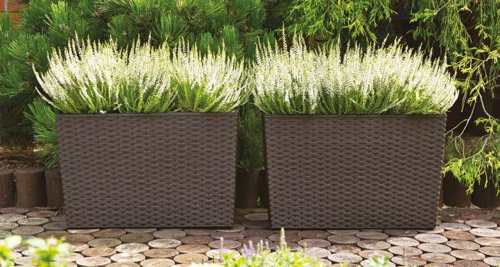 ogrodowych suit for garden furniture dedykowany system nawadniający dedicated watering system odporny na