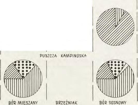 Porównanie udziałów procentowych wyróżnionych elementów zoogeograficznych w stwierdzonym zagęszczeniu