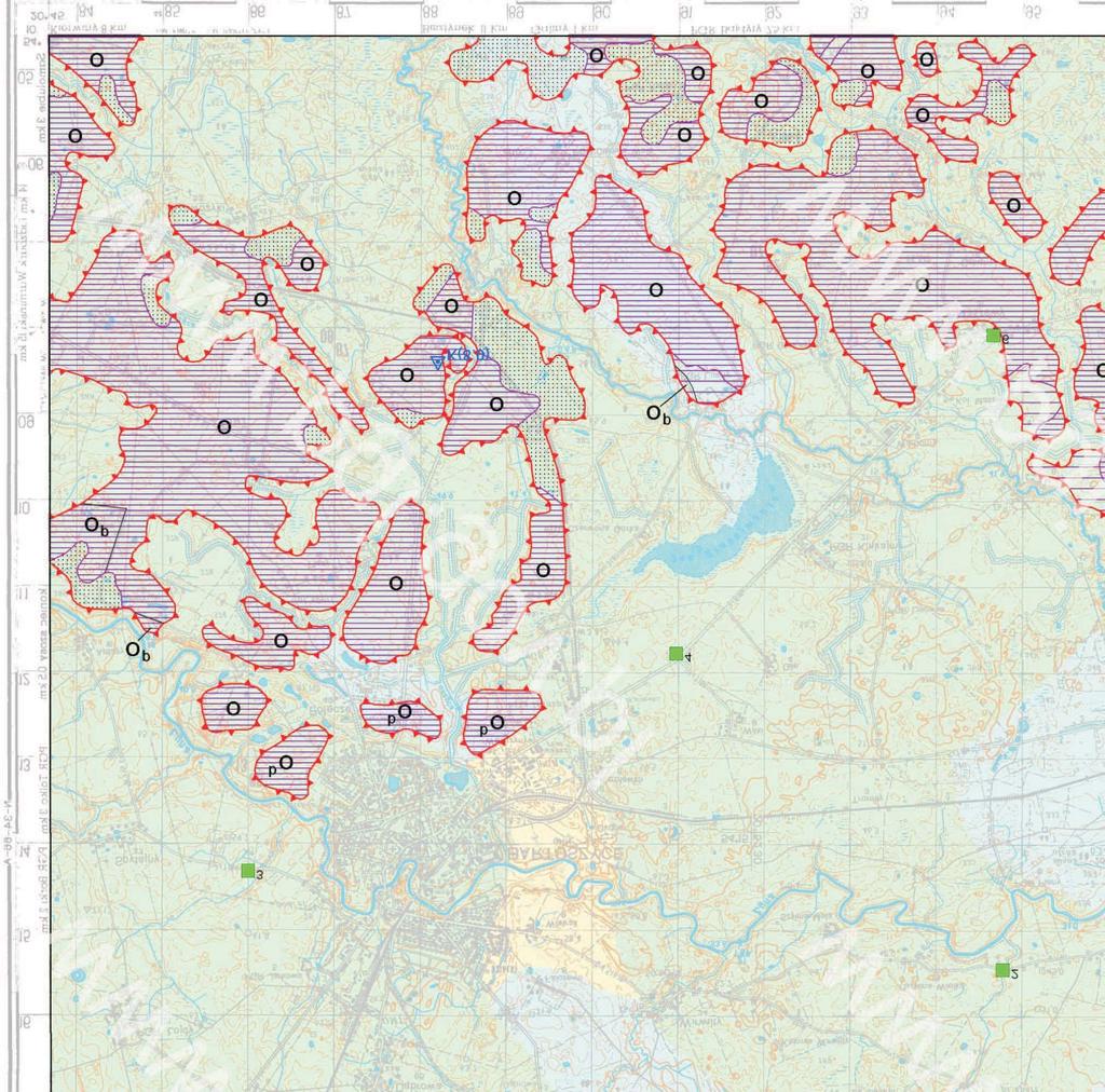 Wycinek MGŒP 1:50 000 arkusz Bartoszyce - plansza B (Hrybowicz, 2012r.) W-1 (proj.) Dane pochodz¹ z: www.pgi.gov.pl W-1 (proj.) projektowany otwór Za³.