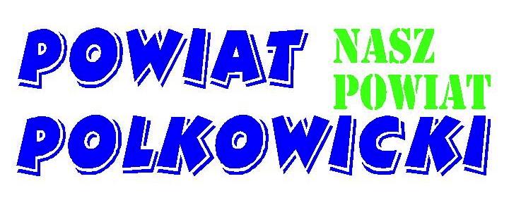 Szkolnego Organizatora Rozwoju Edukacji (SORE) w ramach realizacji projektu Nowa jakość systemu doskonalenia nauczycieli w powiecie polkowickim współfinansowanego ze środków