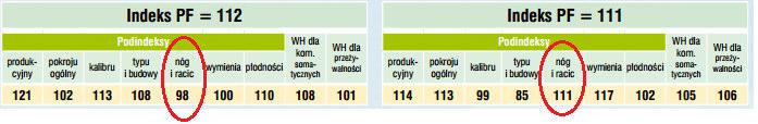 przekątną. Selekcja na większy kąt i krótsze przekątne powinna zredukować częstość występowania kulawizn.