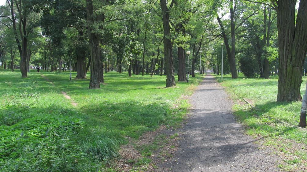 prawdopodobnie został odnowiony, poprzez usunięcie uschniętych drzew i zasadzenie nowych.