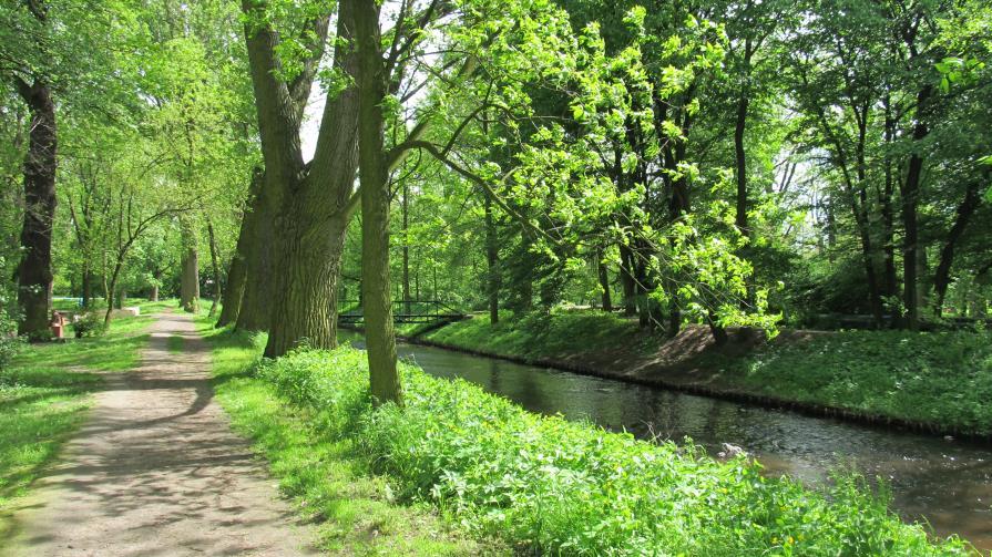 Załącznik 2.6. Park Miejski w Ozorkowie Historia tego parku związana jest z rodziną Schlosserów, którzy w latach 30. XIX wieku wznieśli przy ul.