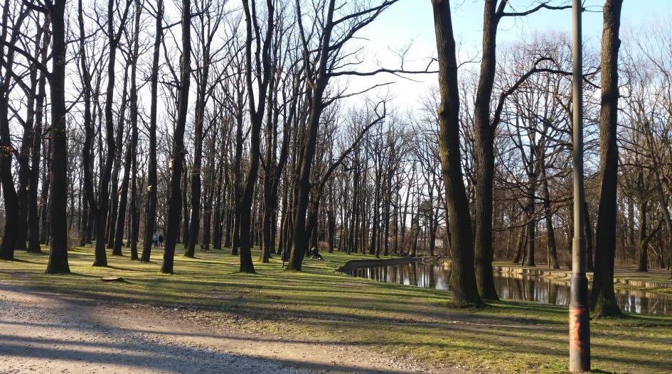 Załącznik 2.17. Park im. 3-go Maja w Łodzi Park został utworzony w I poł. XX w. na obszarze lasu miejskiego stanowiącego pozostałości po dawnej Puszczy Łódzkiej.