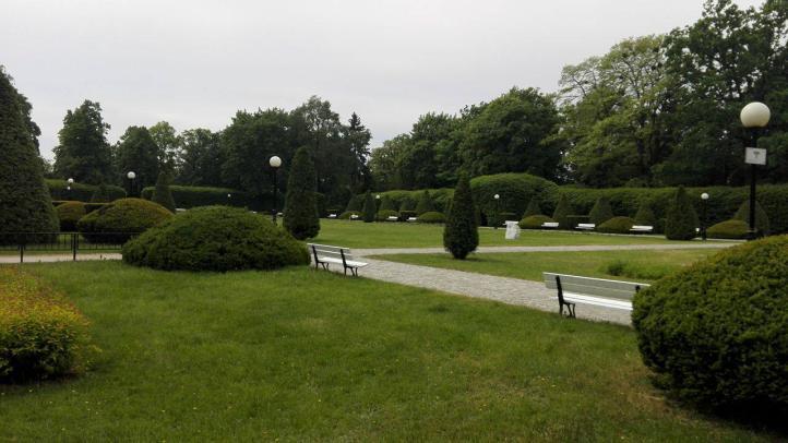 W centralnej części usytuowany jest trawnik, wokół którego znajdują się różane rabaty. Po dwóch jego stronach (równolegle do osi symetrii), wzdłuż ścieżek rosną cisy, a za nimi szpalery grabowe.