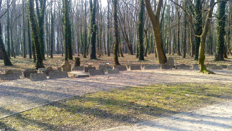 Park powstał w I poł. lat 80. XX w. w miejscu cmentarza ewangelickoaugsburskiego, który został zlikwidowany w 1983 r.